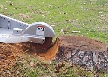 Four Seasons Tree Surgery