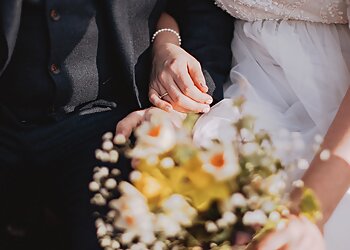 Fox & Bear Photography