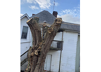 Fox Tree Services Fox Tree Services