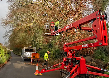 Foxes Tree Services & Son Ltd.