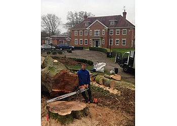 Foxes Tree Services & Son Ltd.