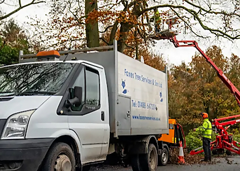 Foxes Tree Services & Son Ltd. Foxes Tree Services & Son Ltd.