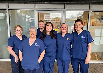 Frances Willner Practice Dedicated to Orthodontics