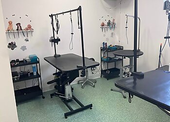 Francesco's Dog Groomig Salon