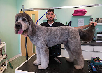 Francesco's Dog Grooming