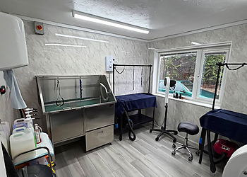 Francesco's Dog Salon