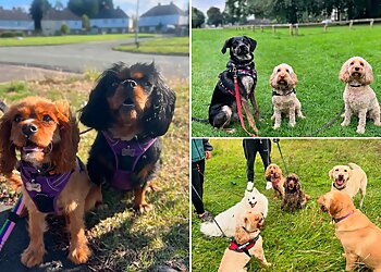 Frankie’s Wag ‘N’ Walk