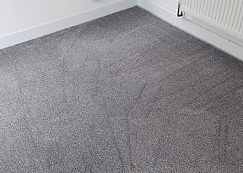 Freeman Cleaning Specialists