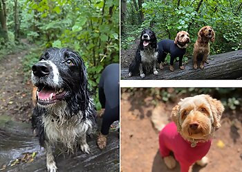 Friends for Pets Cardiff