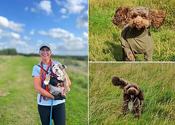 Funnybones Paisley Dog Walking Service