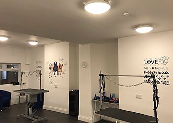 Fur Babies Dog Grooming