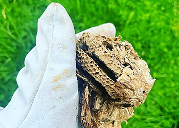 Fur & Feather Pest & Bird Control