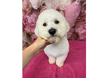 Furfection Dog Grooming