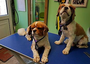 Furry Faces Dog Grooming