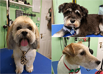 Furry Faces Dog Grooming