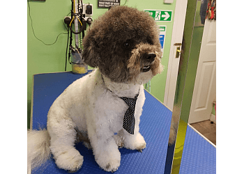 Furry Faces Dog Grooming 