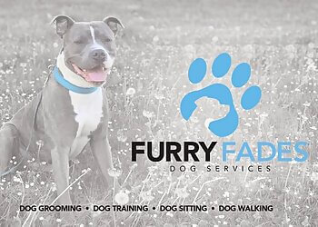 Furry Fades Dog Services