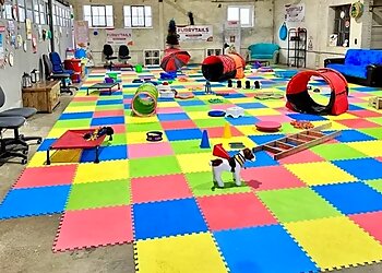 FurryTails Dog Training and Behaviour