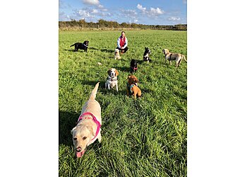 Furry Tails Dog World