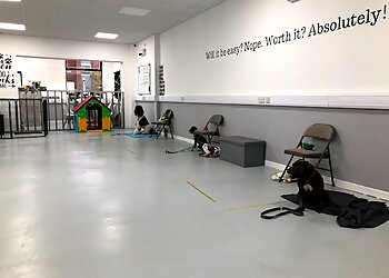 Furry Tails Dog World