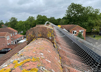 GC Pest Control Limited