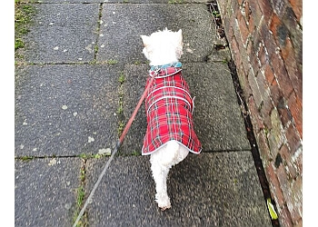 dog walking clothing uk