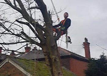 GM Tree Services
