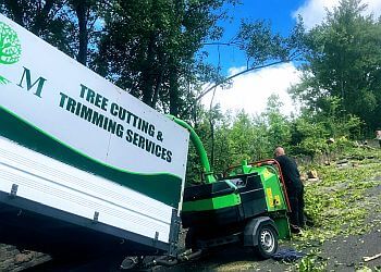 GM Trees & Hedge Maintenance Services
