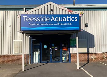 GT Signs & Print Limited