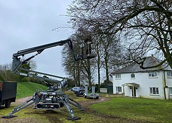 Gaiger's Tree and Hedge Care