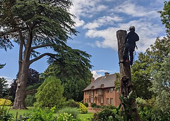 Gaiger's Tree and Hedge Care