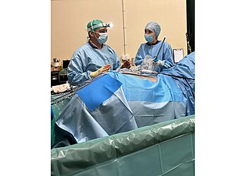 Galley Hill Equine Surgery