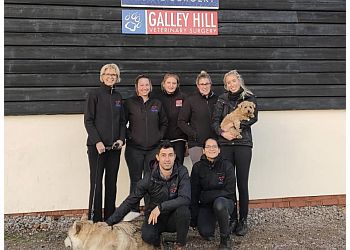 Galley Hill Equine Surgery