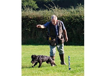 Gary Mulvaney Dog Trainer