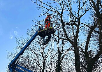 Gascoigne Garden & Tree Services Ltd.