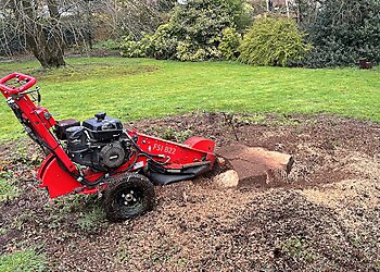Gascoigne Garden & Tree Services Ltd.