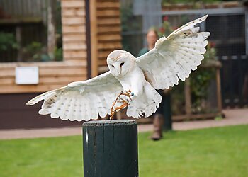 Gentleshaw Wildlife Centre