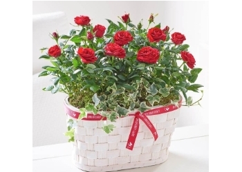 George Lesley Flowers