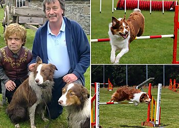 Glen-Craig Canine Training