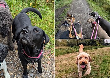 Gloucester Dog Walker-Happy Paws