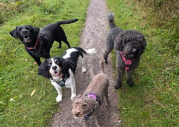 Gloucester dog walkers Gloucester Dog Walker - Happy Paws  image 1