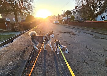 Glyn Alyn Pet Services