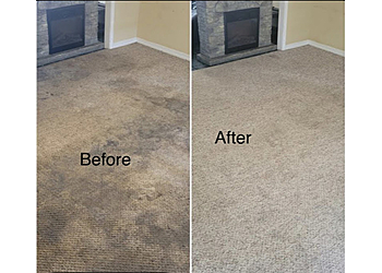 GoGo Clean-Carpet & Upholstery Steam Experts