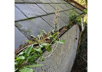 Gutter Cleaners Swansea