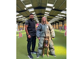 Good Choice Dog Training