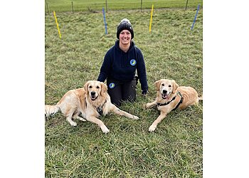 Luton dog trainers  Good Choice Dog Training image 1