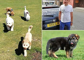 Gordon’s Dog Walking Service