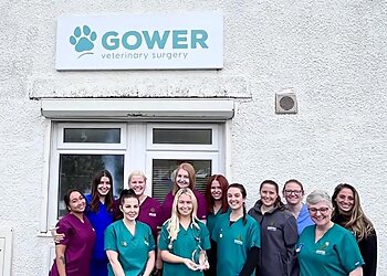 Gower Veterinary Surgery