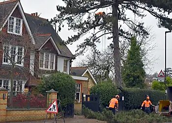 GraftinGardeners Ltd.