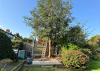 Grange tree services